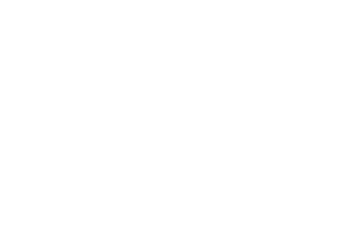 Groot Logo BTSB