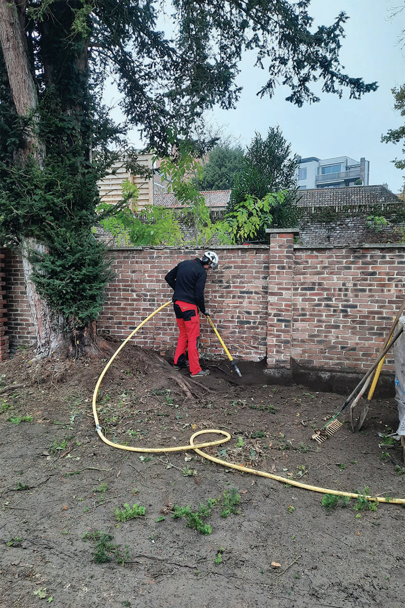 Groeiplaatsverbetering voor Boom